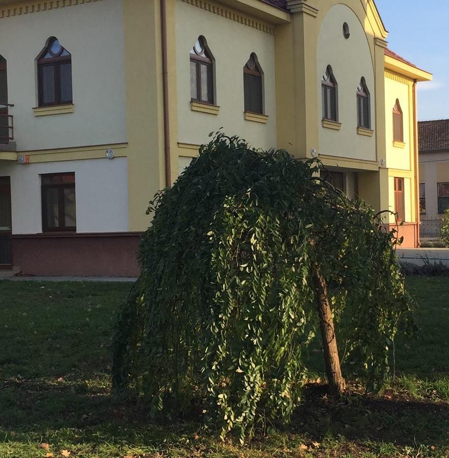 MAMRE Szálló Hajduboszormeny Kültér fotó